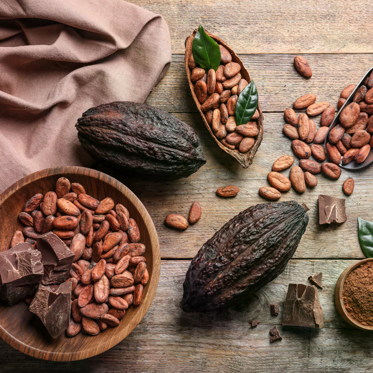 Kakao ganze Frucht und Bohnen geröstet
